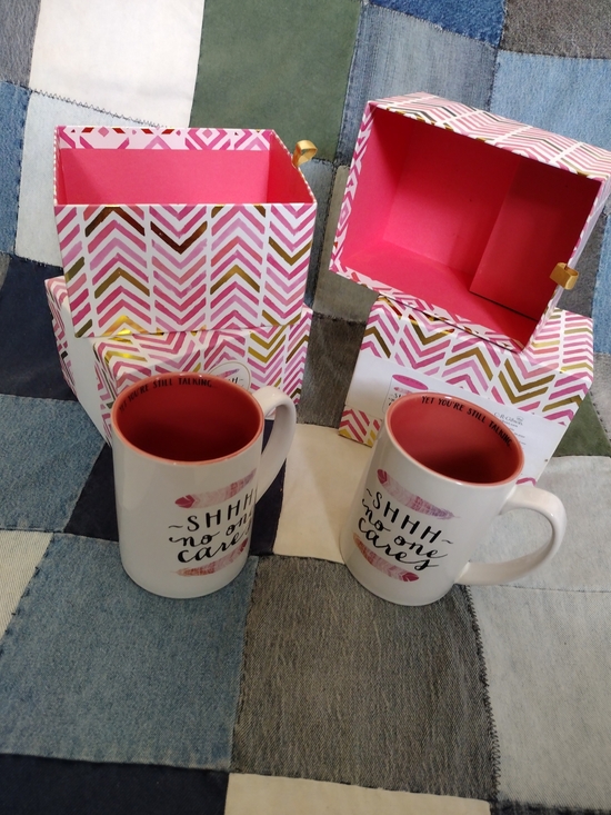Gibson Other - Shhh - No One Cares - Ceramic Mugs (2) By Gibson "Sassy Sips" NWOT